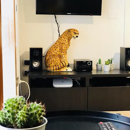 דירה Guest